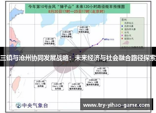 三镇与沧州协同发展战略：未来经济与社会融合路径探索