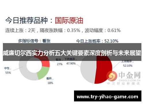 威廉切尔西实力分析五大关键要素深度剖析与未来展望