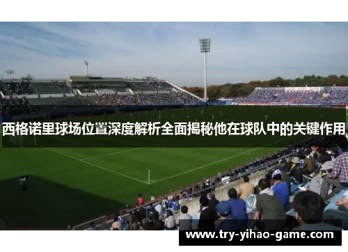 西格诺里球场位置深度解析全面揭秘他在球队中的关键作用